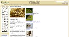 Desktop Screenshot of bugguide.net