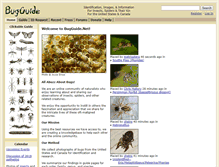 Tablet Screenshot of bugguide.net